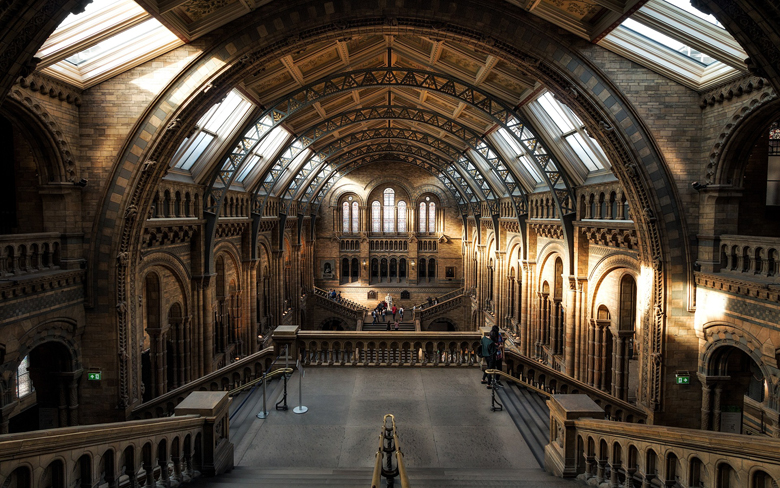 Tip 7 für deine London Städtereise: Natural History Museum