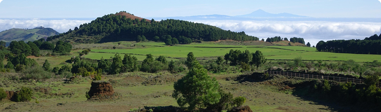 Tipps für deine Reise nach El Hierro
