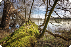Urlaub in Grillenburg